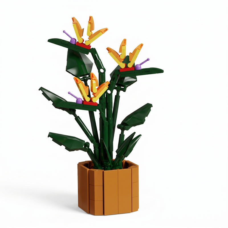 Oiseau de Paradis en Pot