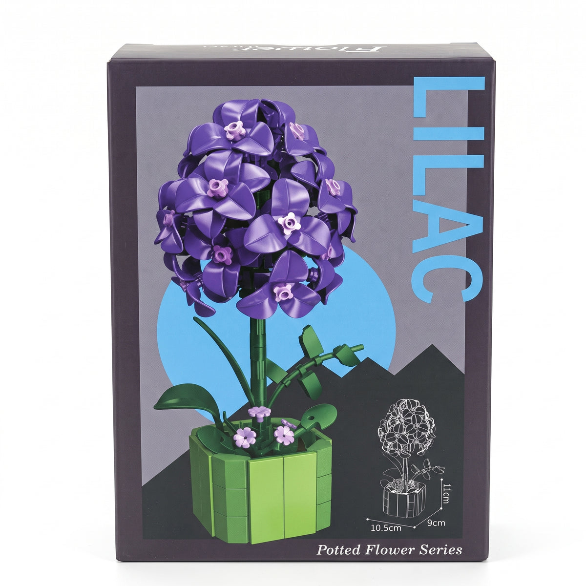 Lilas en Pot