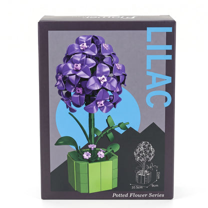 Lilas en Pot