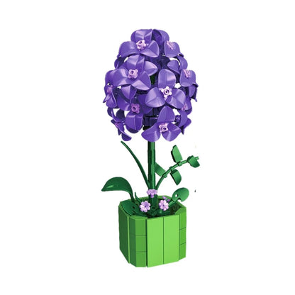 Lilas en Pot