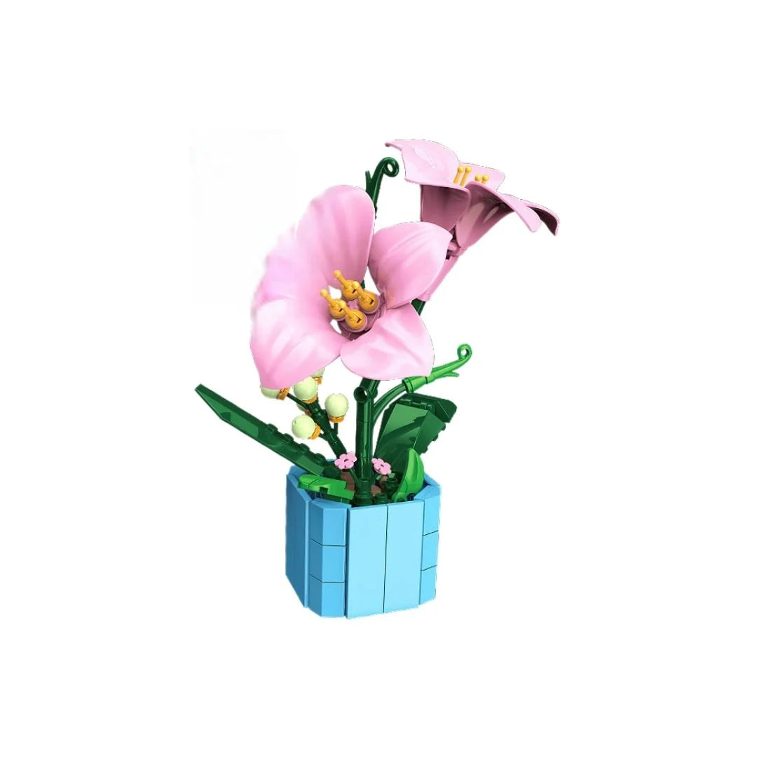 Lys Rose en Pot