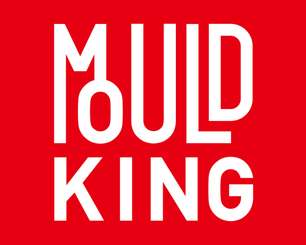 Mould King