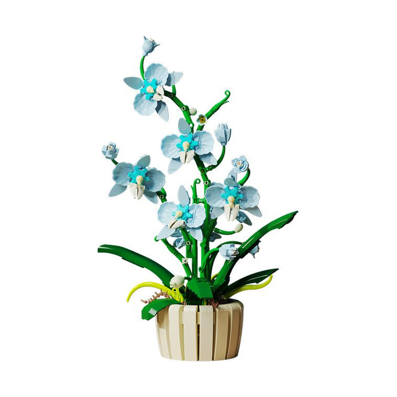 Orchidée Bleu en Pot