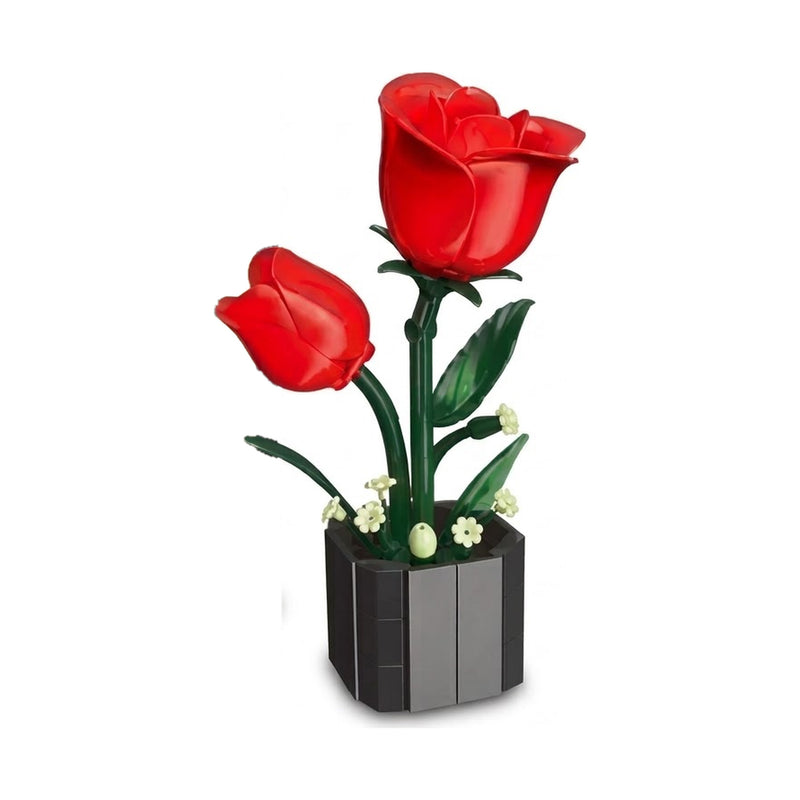 Roses Rouge en Pot