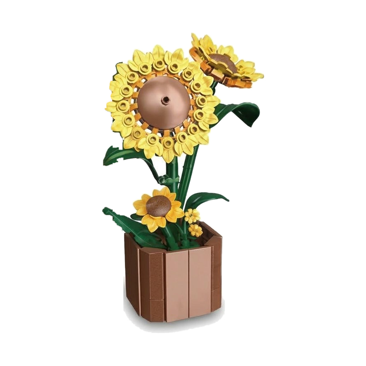 Tournesol en Pot